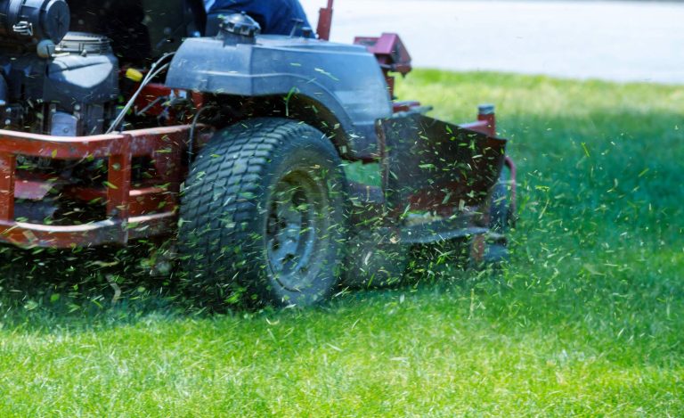 Hausmeisterservice Gebaeudeservice Mittelhessen(4)